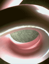 Wire Guide, Snail Guide, Mirror Finished Loop