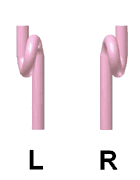 Wire Guide, Snail Guide, The Directions of the Turn